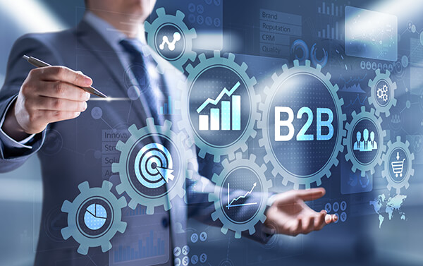 Portale B2B integrato con il gestionale aziendale